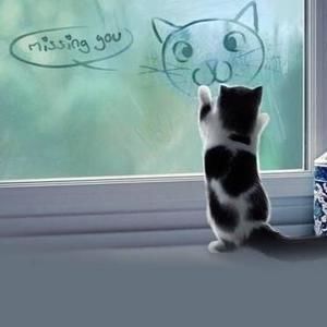 Meet your Posher, Yanwei